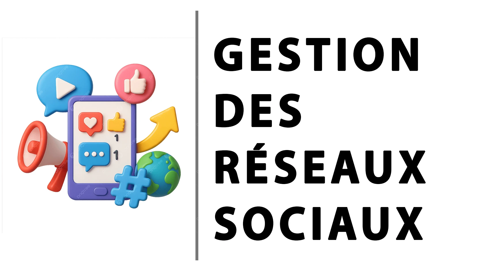 Gestion des Réseaux Sociaux